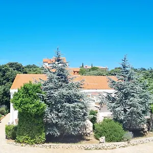 Lavender House Ferienhaus